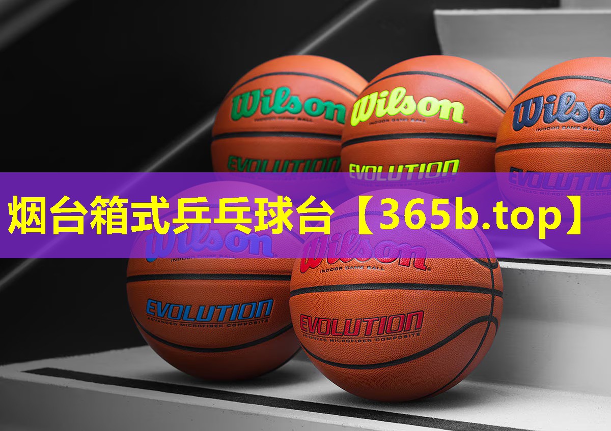 烟台箱式乒乓球台 烟台箱式乒乓球台