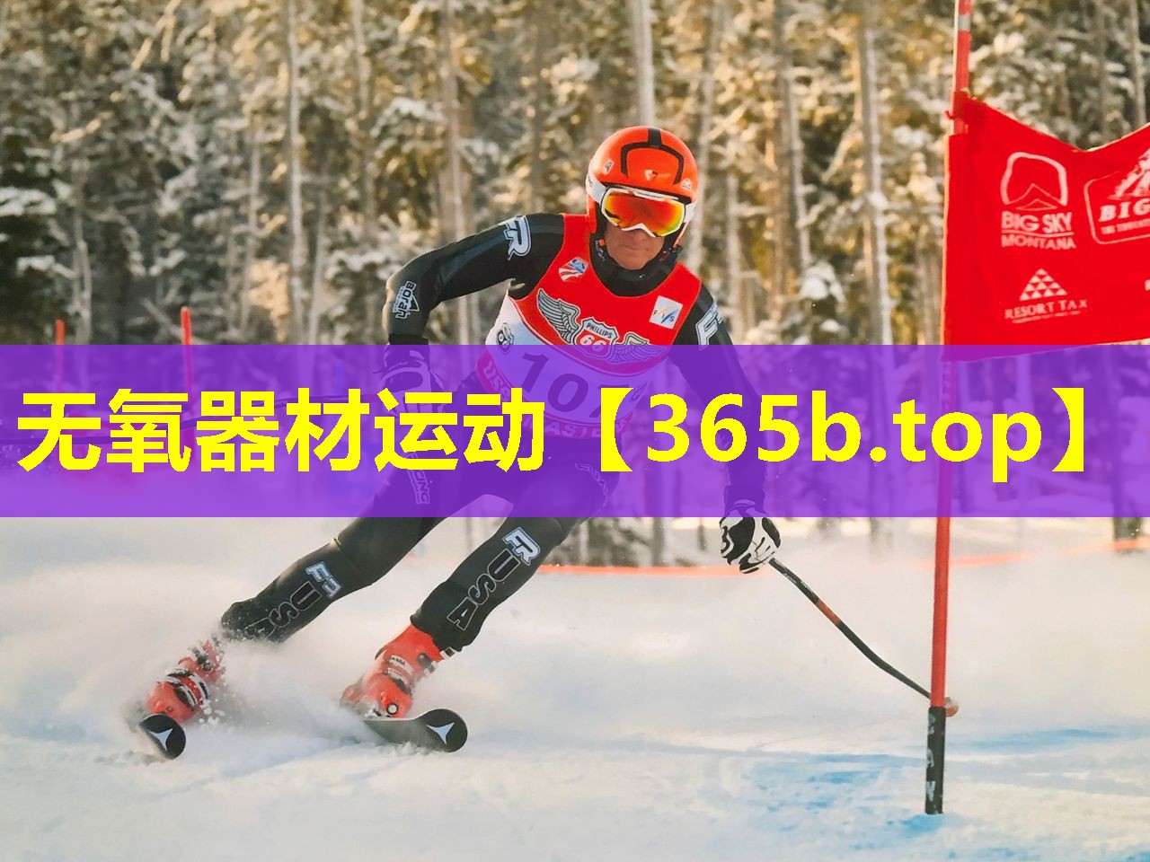 无氧器材运动 无氧器材运动