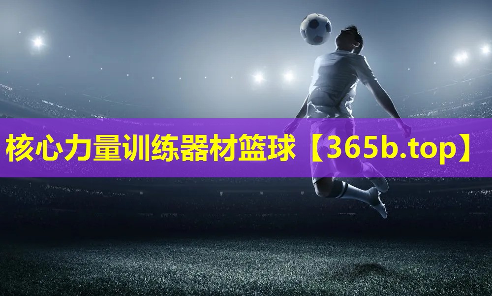 核心力量训练器材篮球