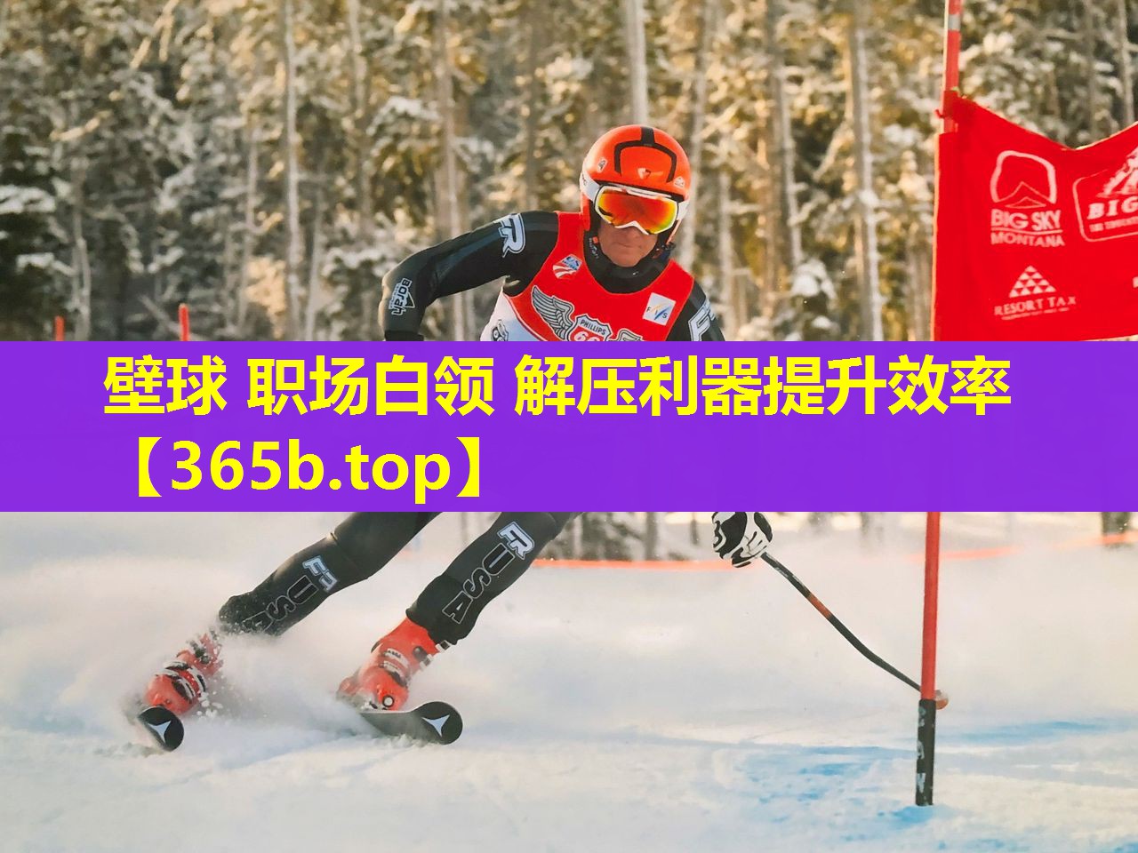 壁球 职场白领 解压利器提升效率 壁球 职场白领 解压利器提升效率