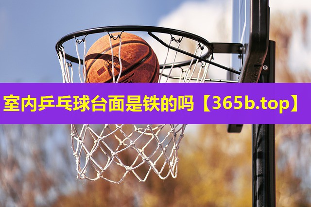 室内乒乓球台面是铁的吗 室内乒乓球台面是铁的吗