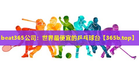 世界最便宜的乒乓球台