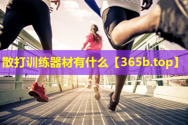 散打训练器材有什么