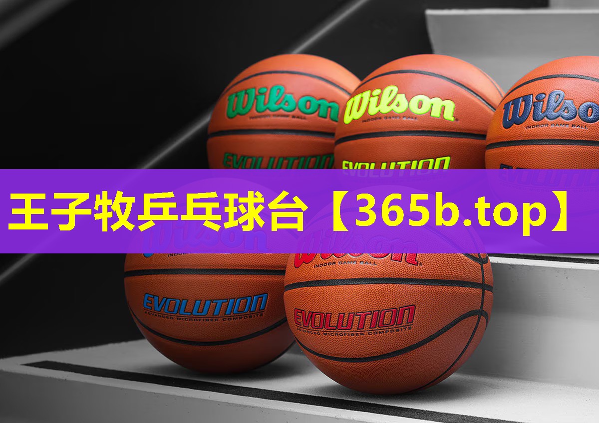 王子牧乒乓球台 王子牧乒乓球台