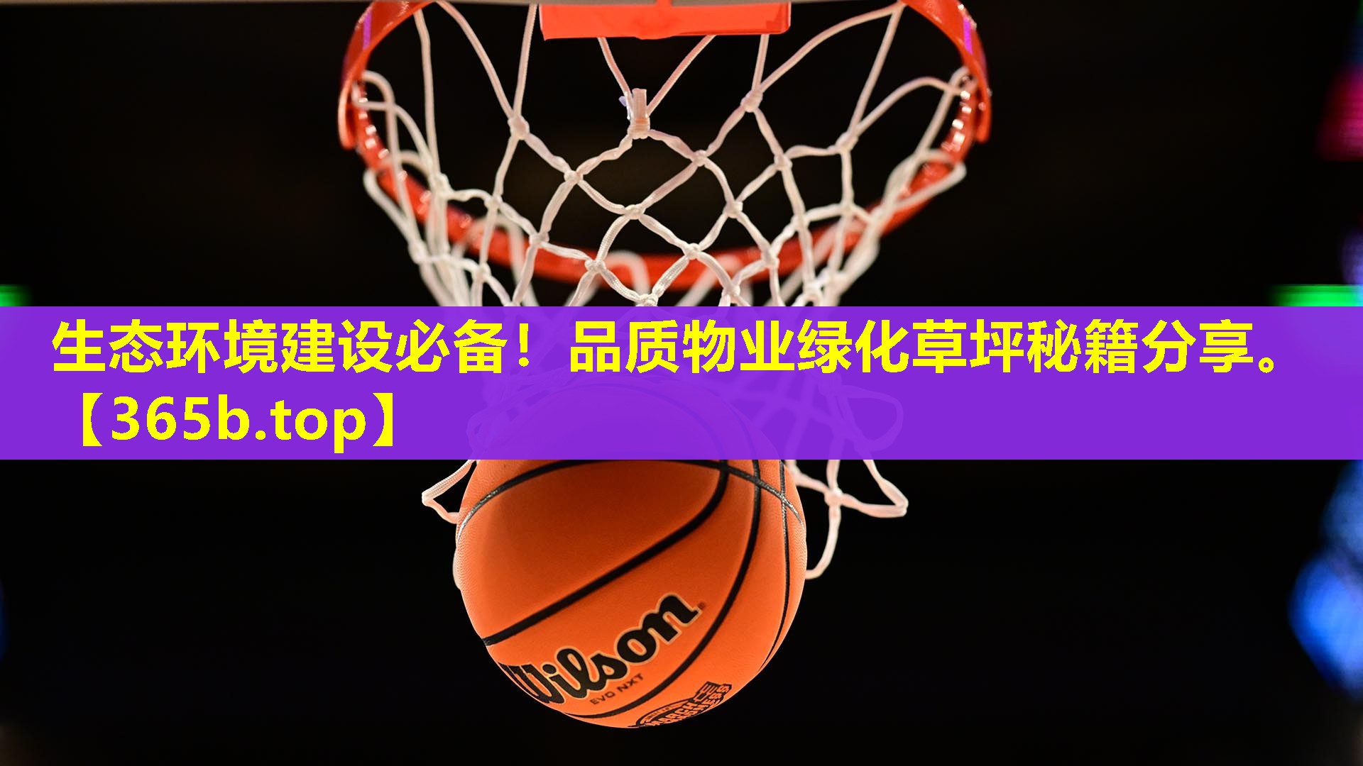 生态环境建设必备!品质物业绿化草坪秘籍分享。 生态环境建设必备!品质物业绿化草坪秘籍分享。